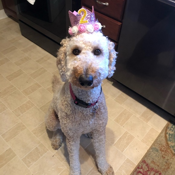 Meet your Posher, Kaitlyn - Picture 2 of 2